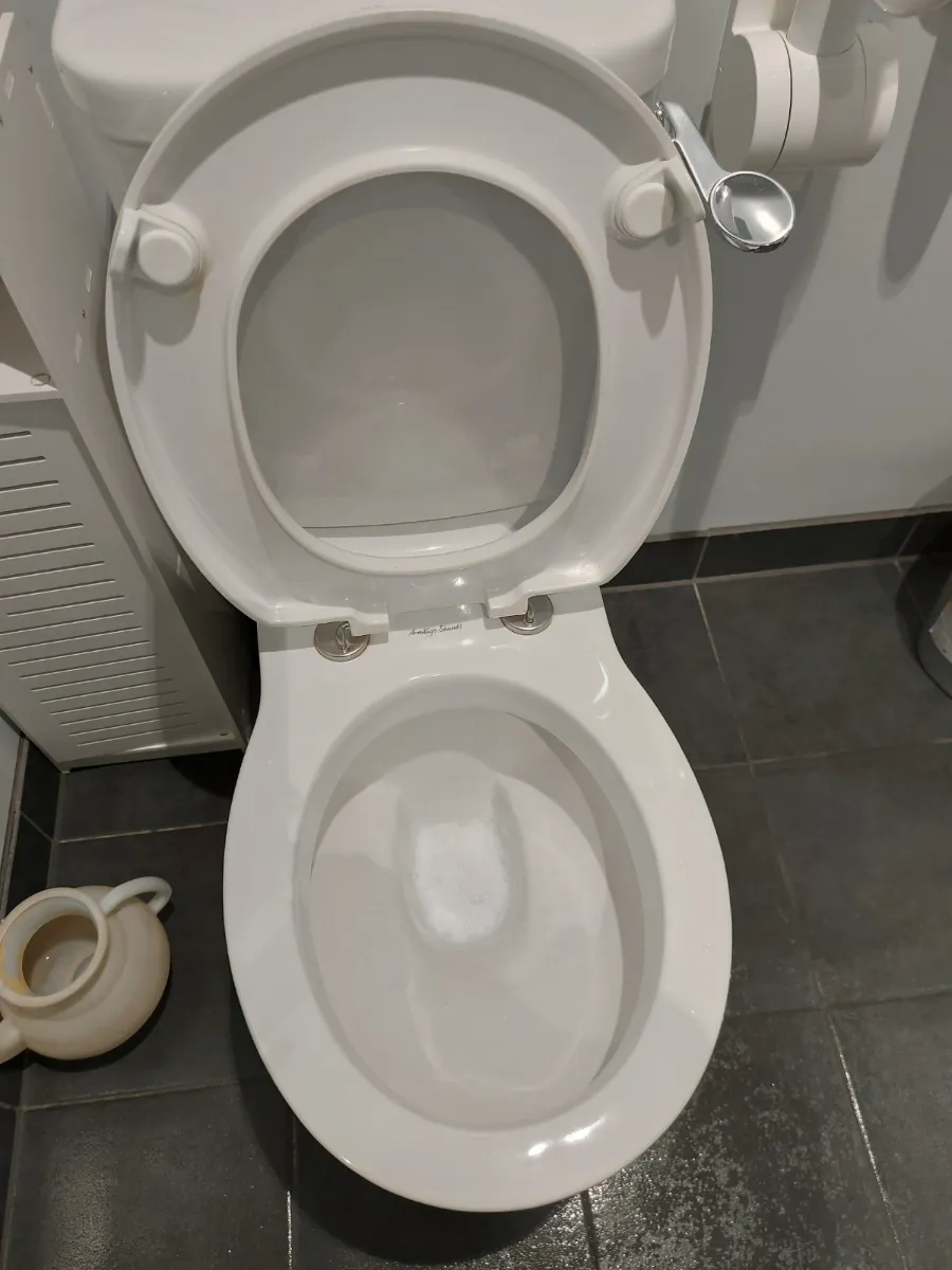 Toilet bowl and seat scrubbed and sanitized