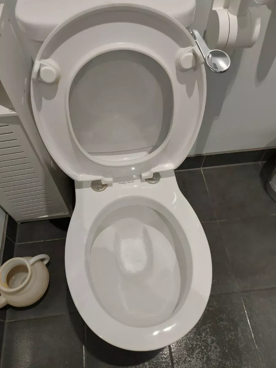 Toilet bowl and seat scrubbed and sanitized